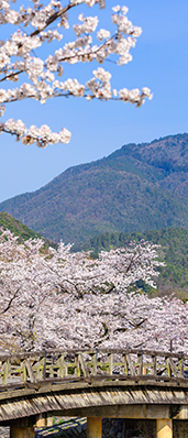 法國巴黎餐廳